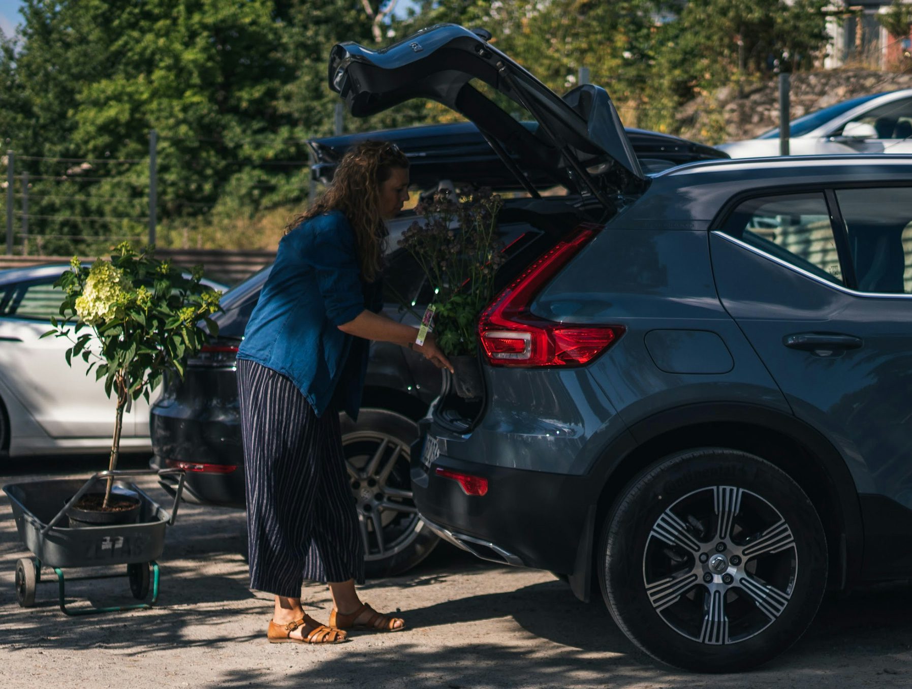 En Kvinna lastar in växter i bakluckan på en Volvo.