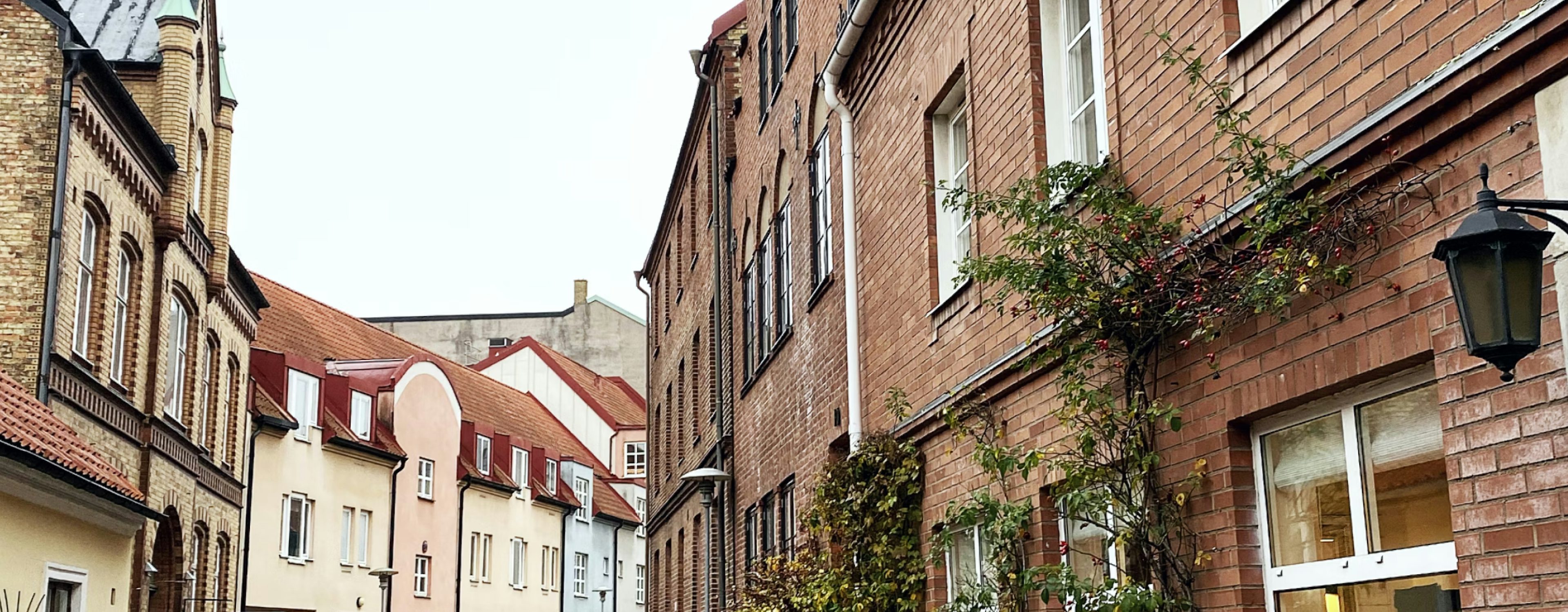 Gemytlig gata i Lund med traditionell arkitektur och gatlyktor, omgiven av mogen grönska